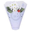 MoreLIPS® Primula Mixkar in Color Hoes
