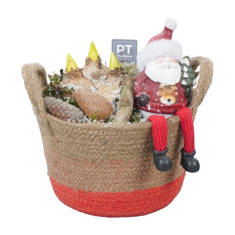 <h4>PTHCC8647 Arrangementen Kerst</h4>