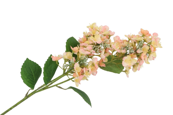 <h4>Silk Hortensia 3x Peach 87cm</h4>