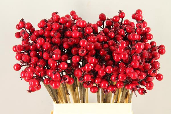 <h4>Stick Berries Rose Hips Red</h4>