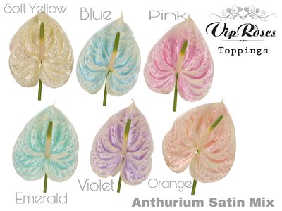 <h4>Anthurium paint satin mix</h4>