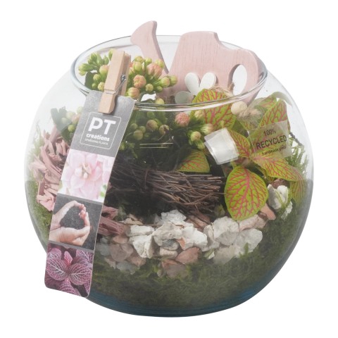 <h4>PTIG8562 Arrangementen kamerplanten</h4>
