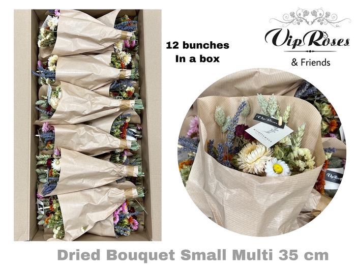 <h4>DRIED BOUQUET SMALL MULTI x12</h4>