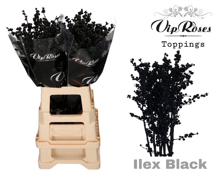 <h4>Ilex paint black</h4>