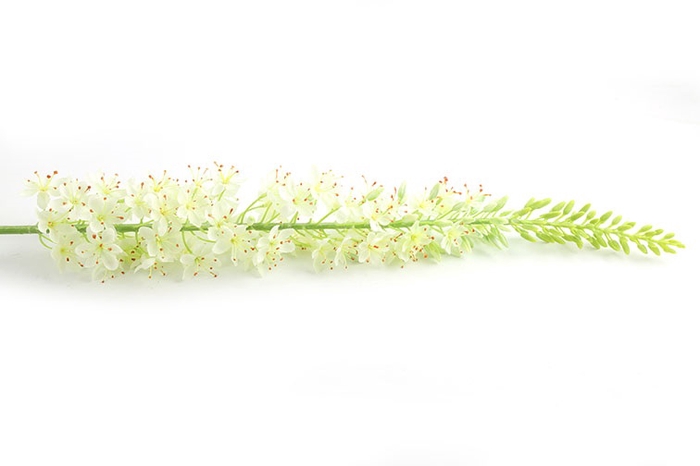<h4>Af Eremurus L127cm Wit</h4>