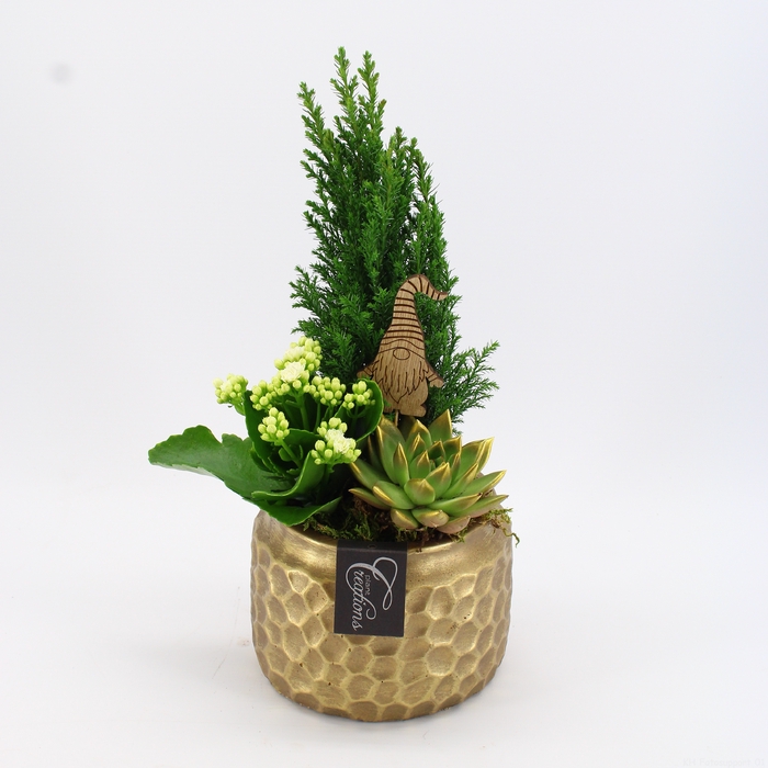 <h4>XMAS-23118 Kerst creatie</h4>