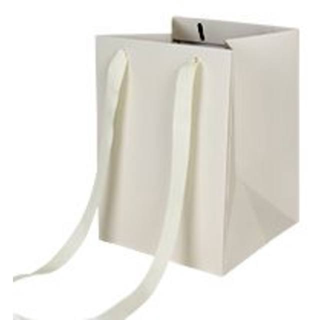 <h4>Bag Elegant carton 18x18xH25cm cream</h4>