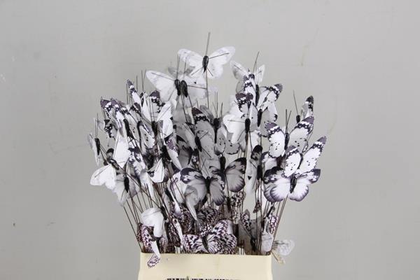 <h4>Stick Butterfly Bouquet White</h4>