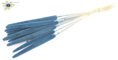 <h4>Babala on natural stem metalic antique blue</h4>