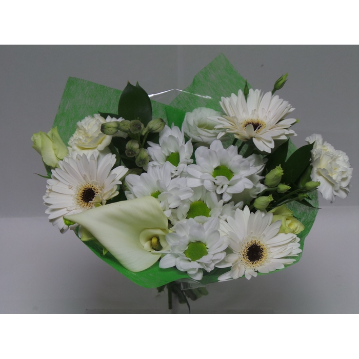 <h4>Bouquet Shorties White</h4>