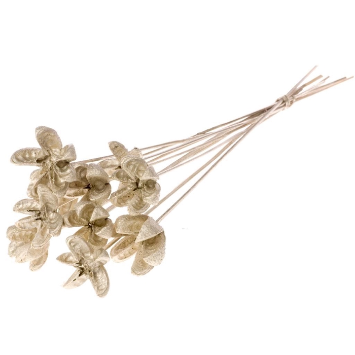 <h4>Cartoos flower o/s ch.gld</h4>
