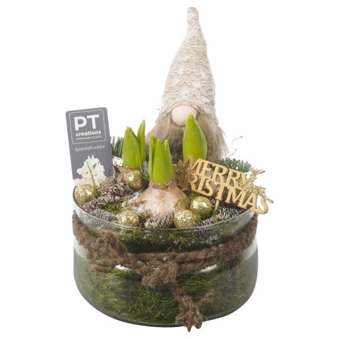 <h4>PTHCC8696 Arrangementen Kerst</h4>