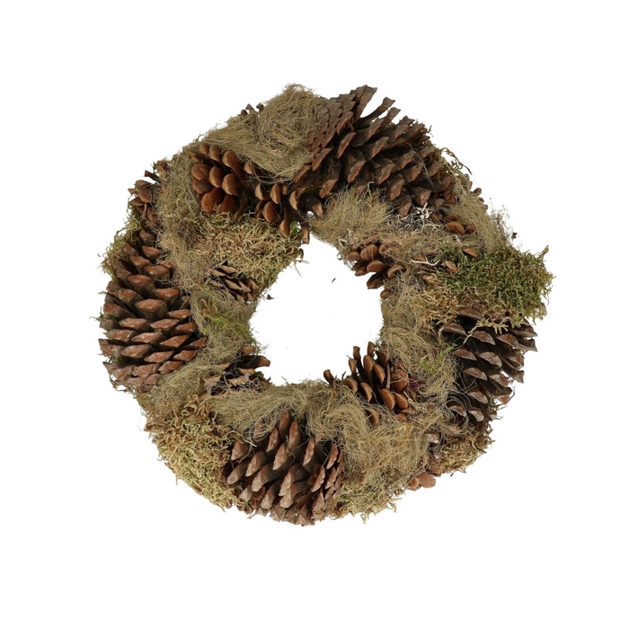 <h4>Wreath d25cm Pine cone moss</h4>