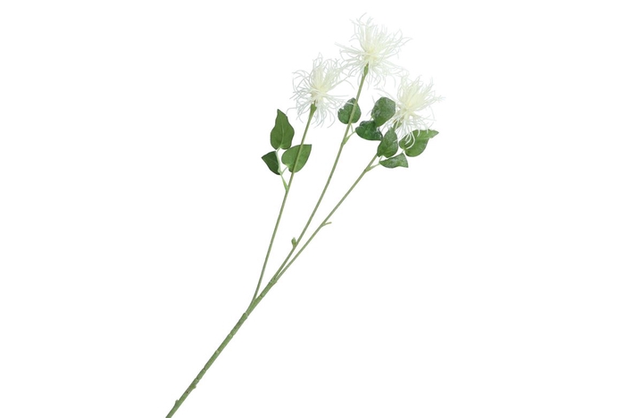 <h4>Silk Tillandsia White 79cm</h4>