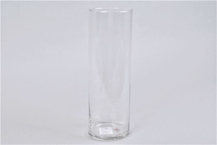 <h4>Glas Cilinder Silo 10x30cm</h4>