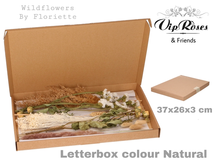 <h4>Dried Letterbox Naturel</h4>