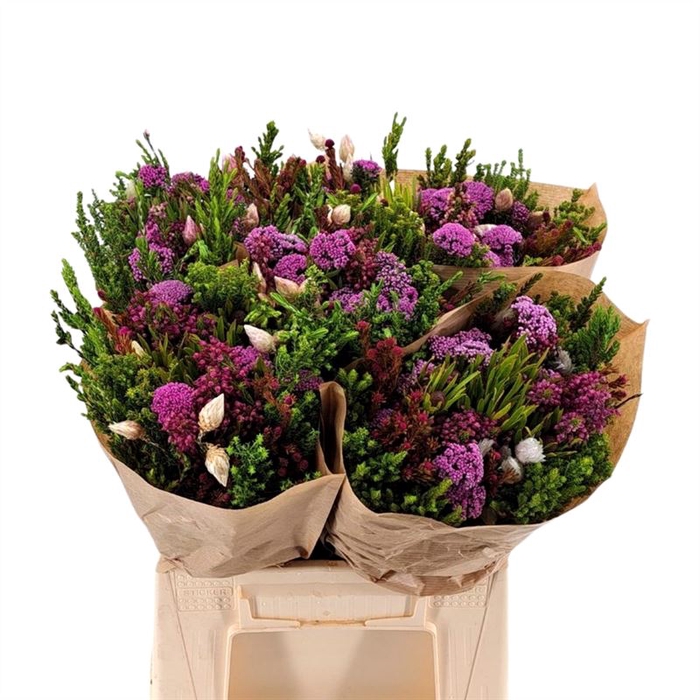 <h4>Kaaps BQ Wild Flower</h4>