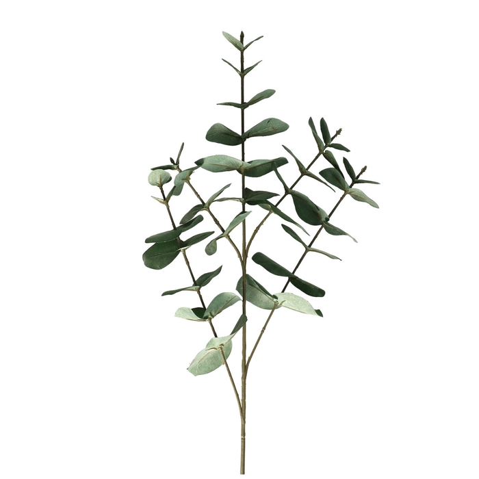 <h4>Silk Eucalyptus 61cm</h4>