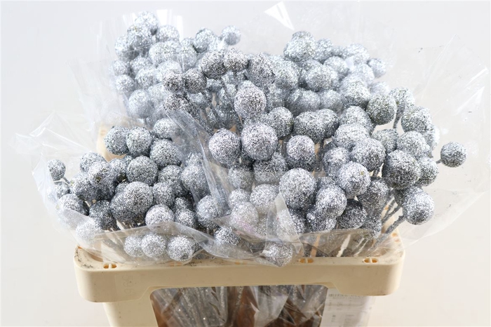 <h4>Wax Craspedia Topline Zilver P Stem</h4>