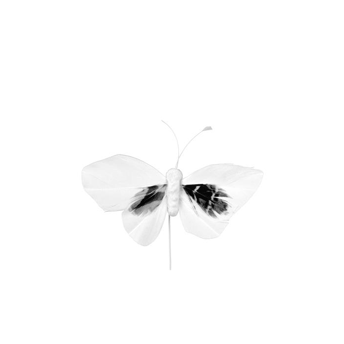 <h4>Bijsteker Butterfly 6x10cm+12cm Draad 48 Stuks Wit</h4>