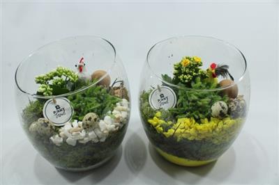 <h4>3415 GLAS SAMBA PASEN</h4>