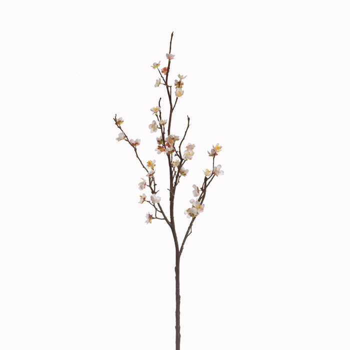 <h4>Af Kersenbloesem L70cm Creme</h4>