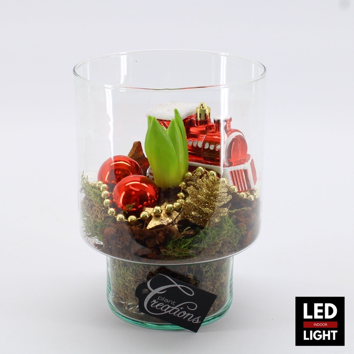 <h4>HYCXM-2330LED Hyacint Kerst terrarium</h4>