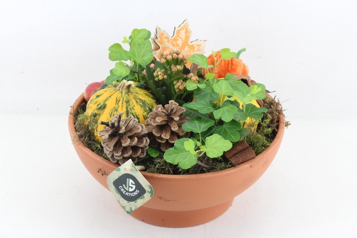 <h4>arr2 JS - Terra cotta schaal x2</h4>