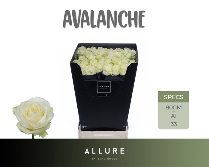 <h4>R GR Avalanche+ Allure</h4>