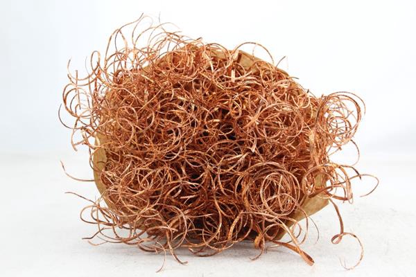 <h4>Droog Tin Tin Koper + Glitx400</h4>