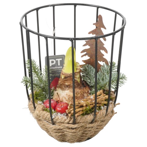 <h4>PTACH7957 Arrangementen Kerst</h4>
