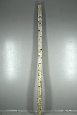<h4>Birch Trunk 8-10cm 300cm</h4>