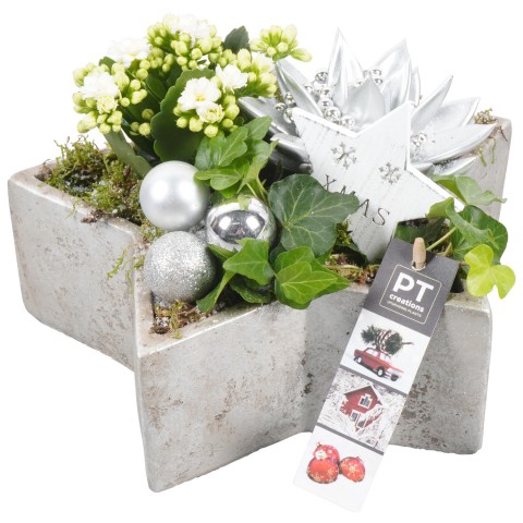 <h4>PTCHS7361 Arrangementen Kerst</h4>