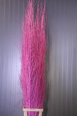 <h4>Birch Tree Pink</h4>