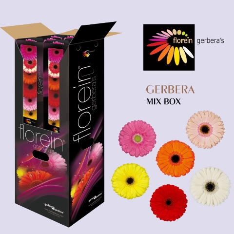 <h4>GE GR OP RIJ GEM Aquabox 80</h4>