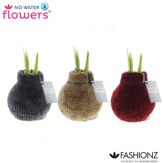 <h4>HIPP WAXZ FASHIONZ COZY TEDDY</h4>