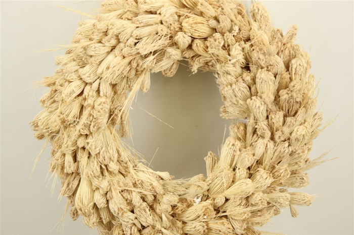 <h4>Wr Dried Plume Thistle Dill 45cm Bleached</h4>