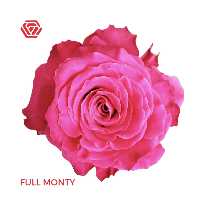 Full monty роза фото эквадор