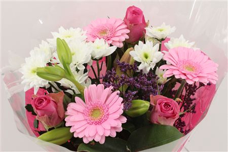 <h4>Bouquet 3 rosa 3 germini pink</h4>
