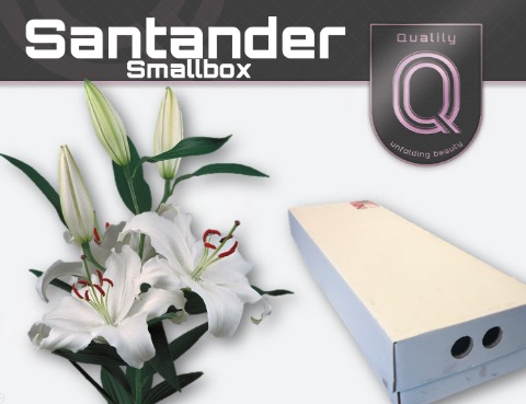 <h4>LI OR SANTANDER SMALLBOX 4+</h4>