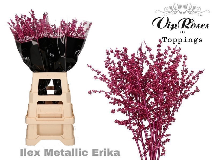 <h4>Ilex paint cerise metallic</h4>
