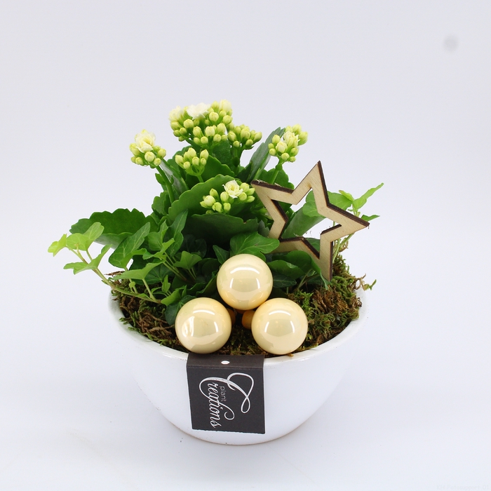 <h4>XMAS-23067 Kerst creatie</h4>