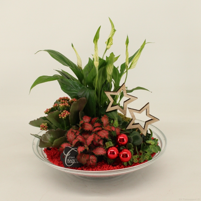 <h4>BAXM-2303R Xmas Fundamentals</h4>