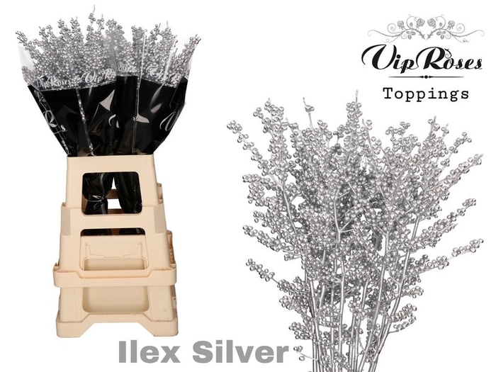 <h4>Ilex paint silver</h4>