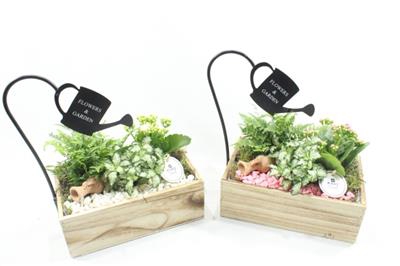 <h4>0419 HOUT + GIETER Indoor!!</h4>