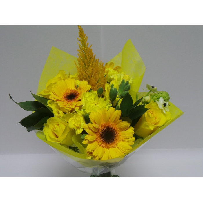 <h4>Bouquet Shorties Yellow</h4>
