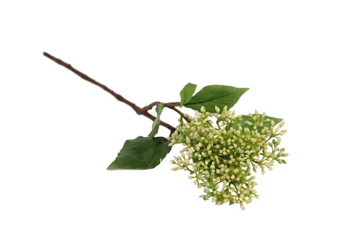 <h4>Af Cornus Cibil L52cm Wit</h4>