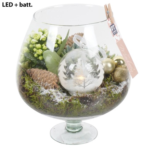 <h4>BMXM3469 Arrangementen Kerst</h4>