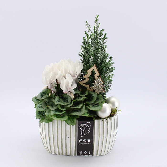 <h4>XMAS-23077 Kerst creatie</h4>