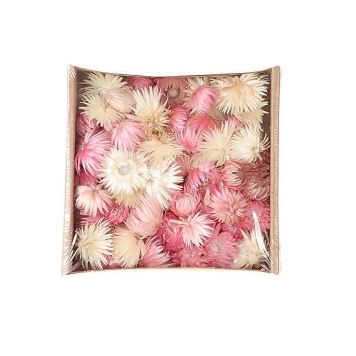<h4>Droogbloem Kaaps 25g</h4>